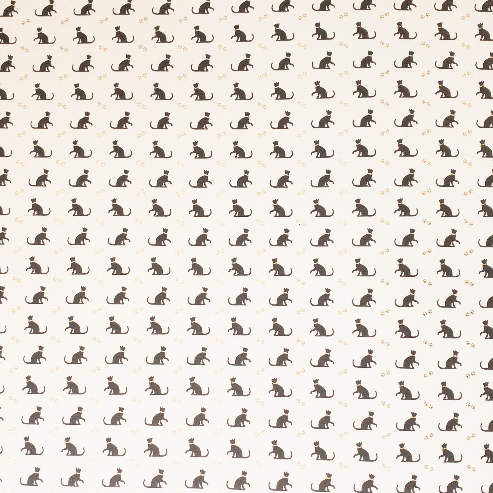 Black Cats, letterpress print decorative paper - Wax - Paper - RibbonWrapping Paper