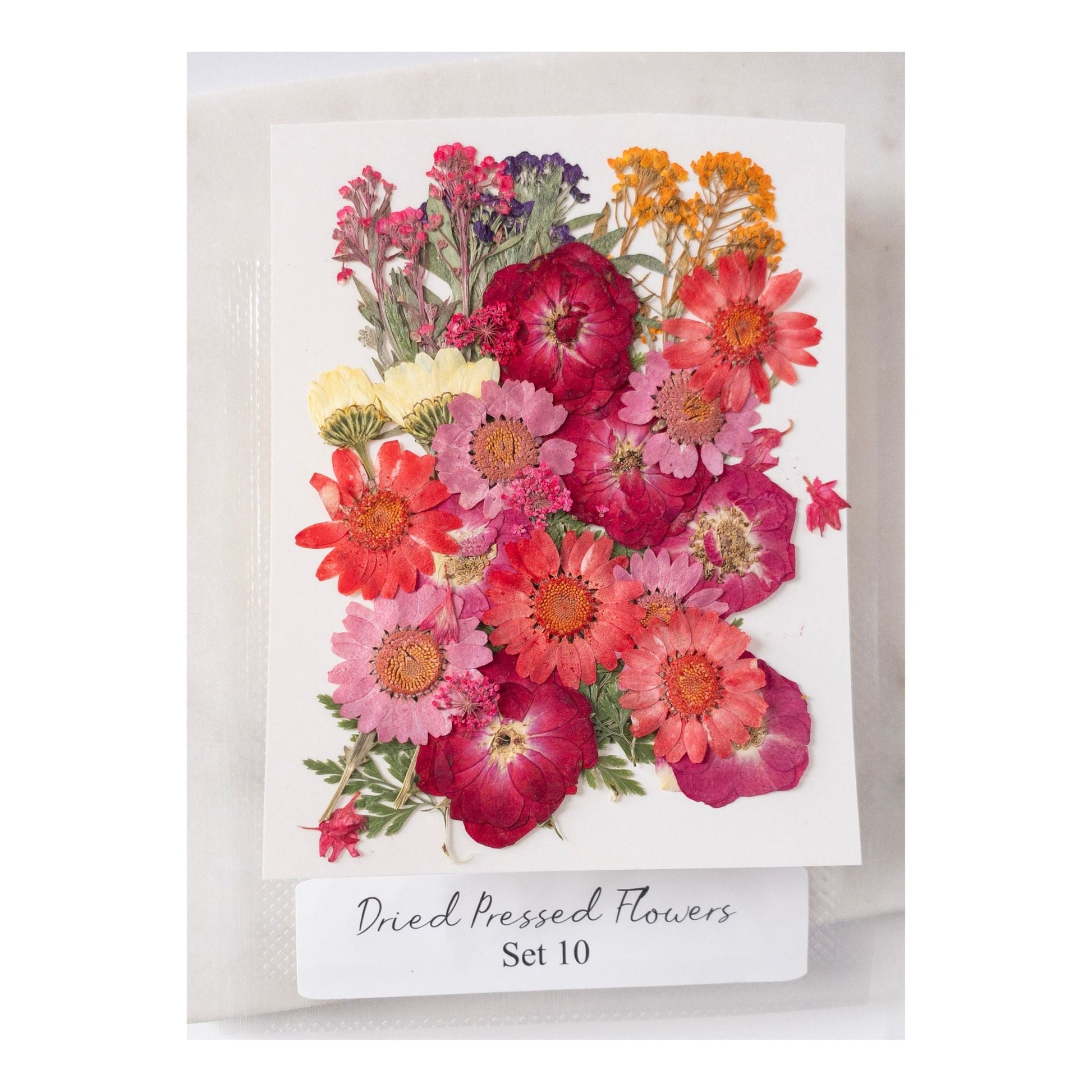 Pressed Dried Flowers for Wax Seals — 11 Color Sets - Wax-Paper-RibbonWax Seal Kit