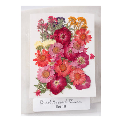 Pressed Dried Flowers for Wax Seals — 11 Color Sets - Wax-Paper-RibbonWax Seal Kit