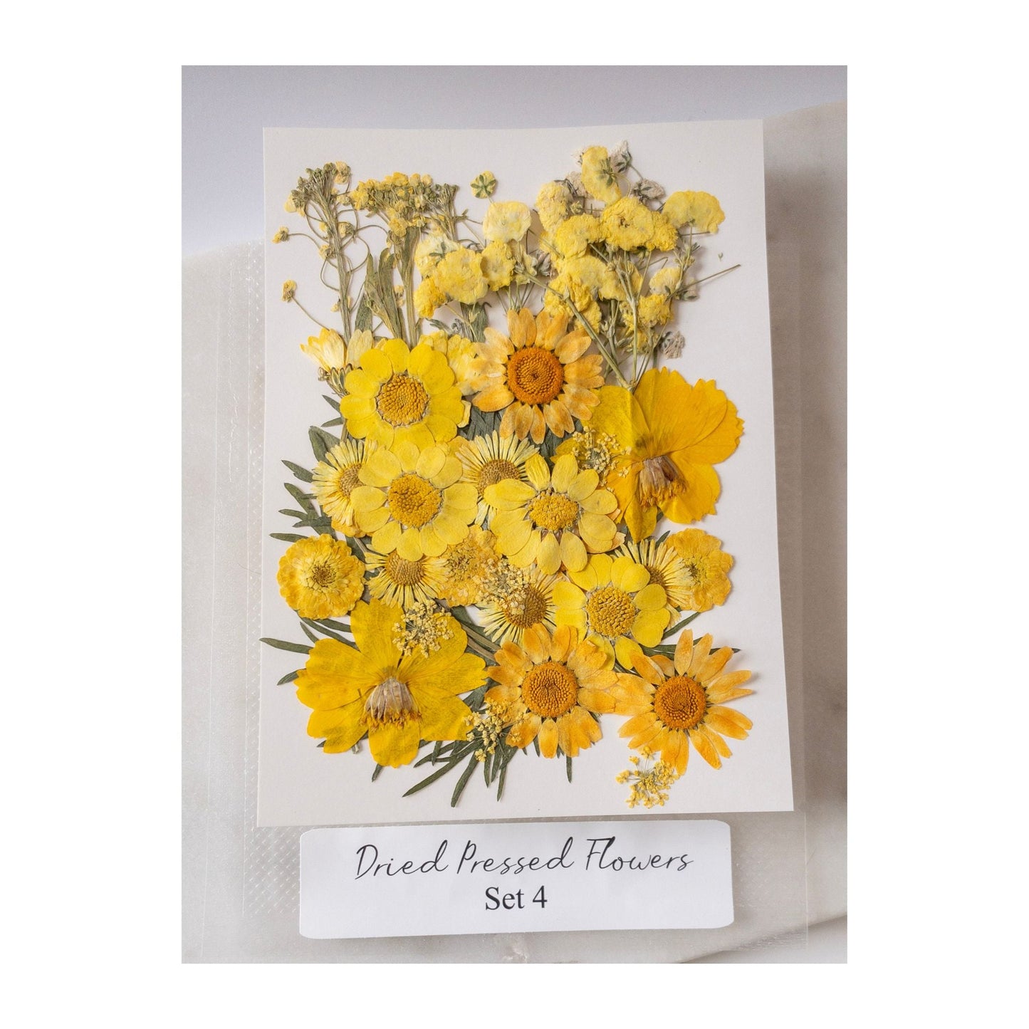 Pressed Dried Flowers for Wax Seals — 11 Color Sets - Wax-Paper-RibbonWax Seal Kit
