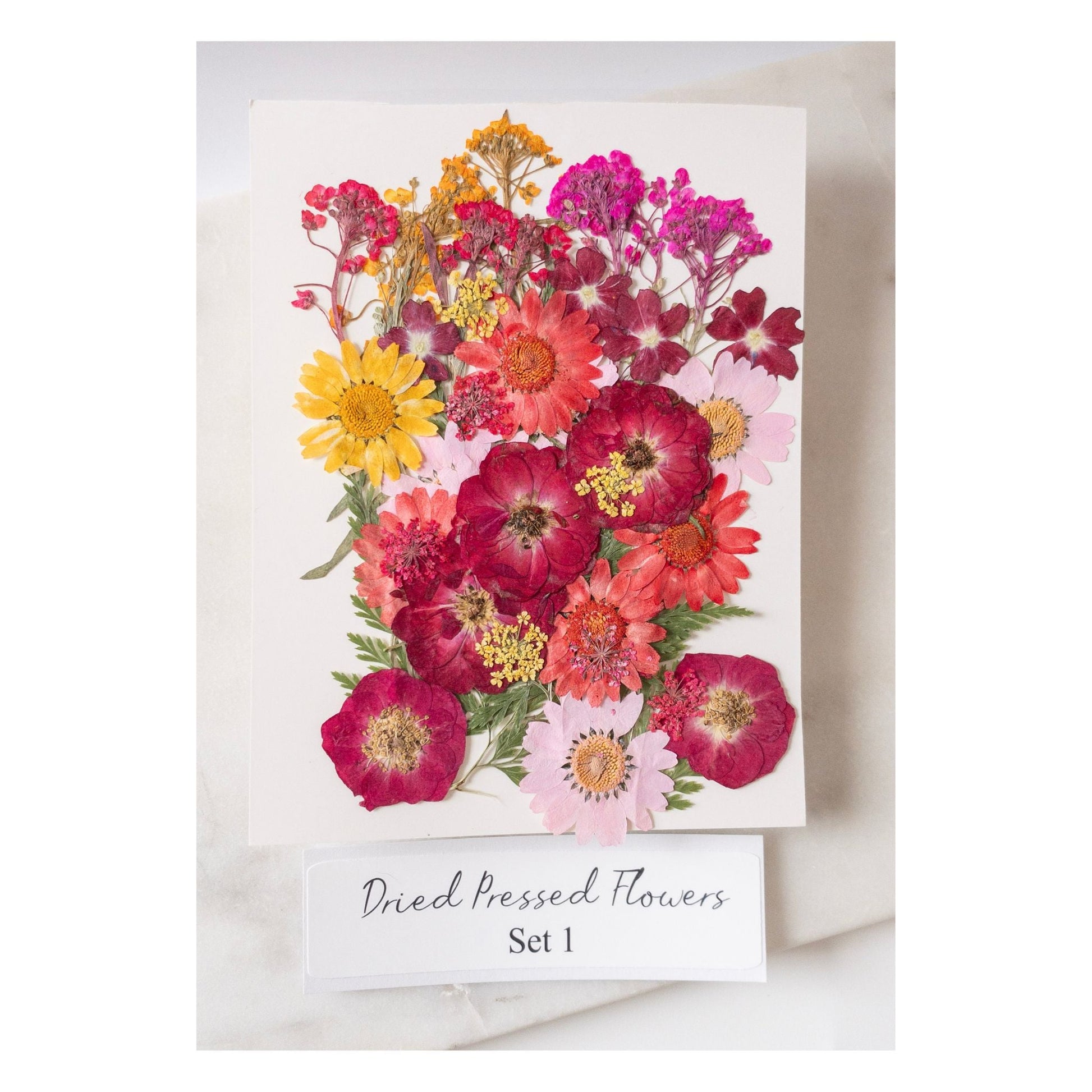 Pressed Dried Flowers for Wax Seals — 11 Color Sets - Wax-Paper-RibbonWax Seal Kit