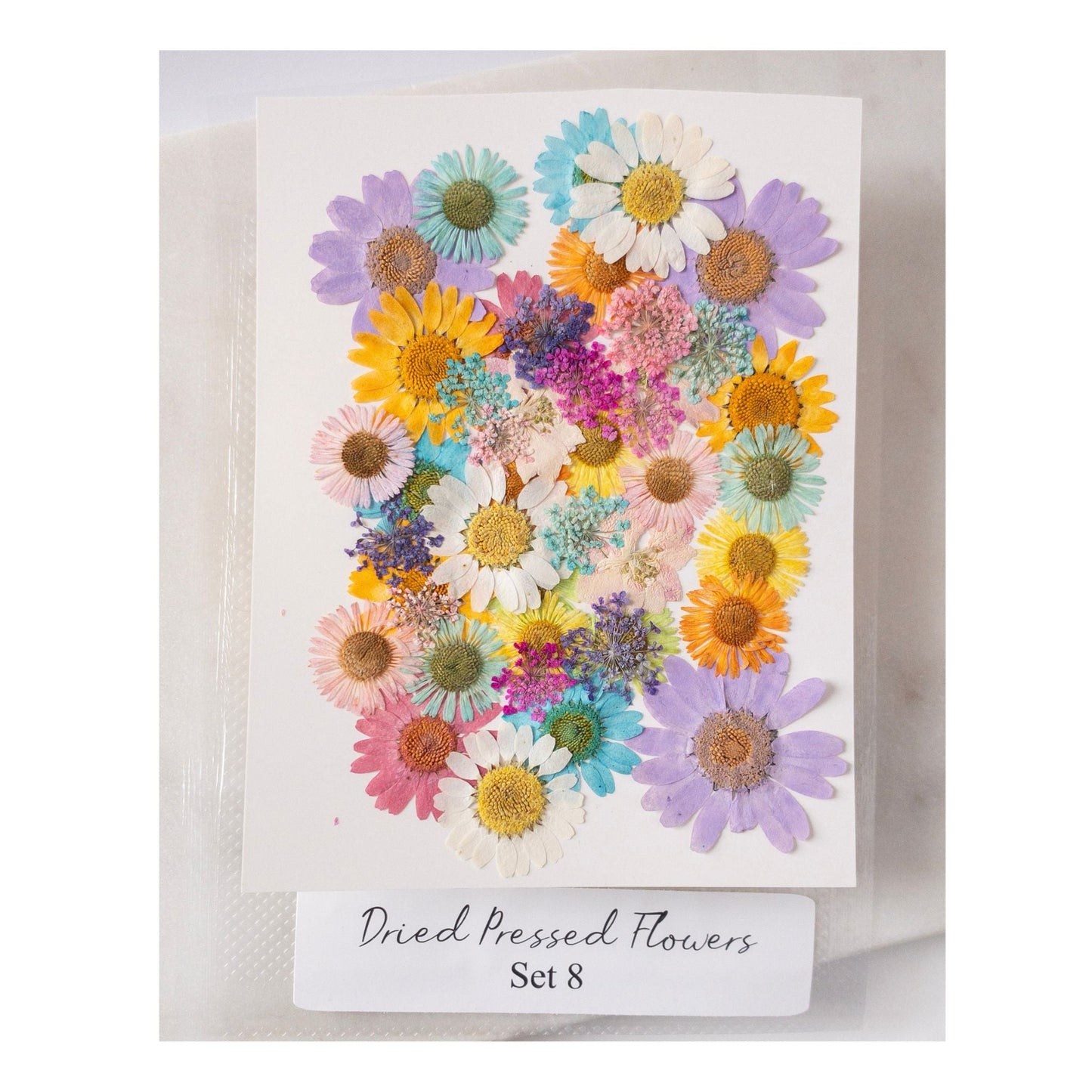 Pressed Dried Flowers for Wax Seals — 11 Color Sets - Wax-Paper-RibbonWax Seal Kit