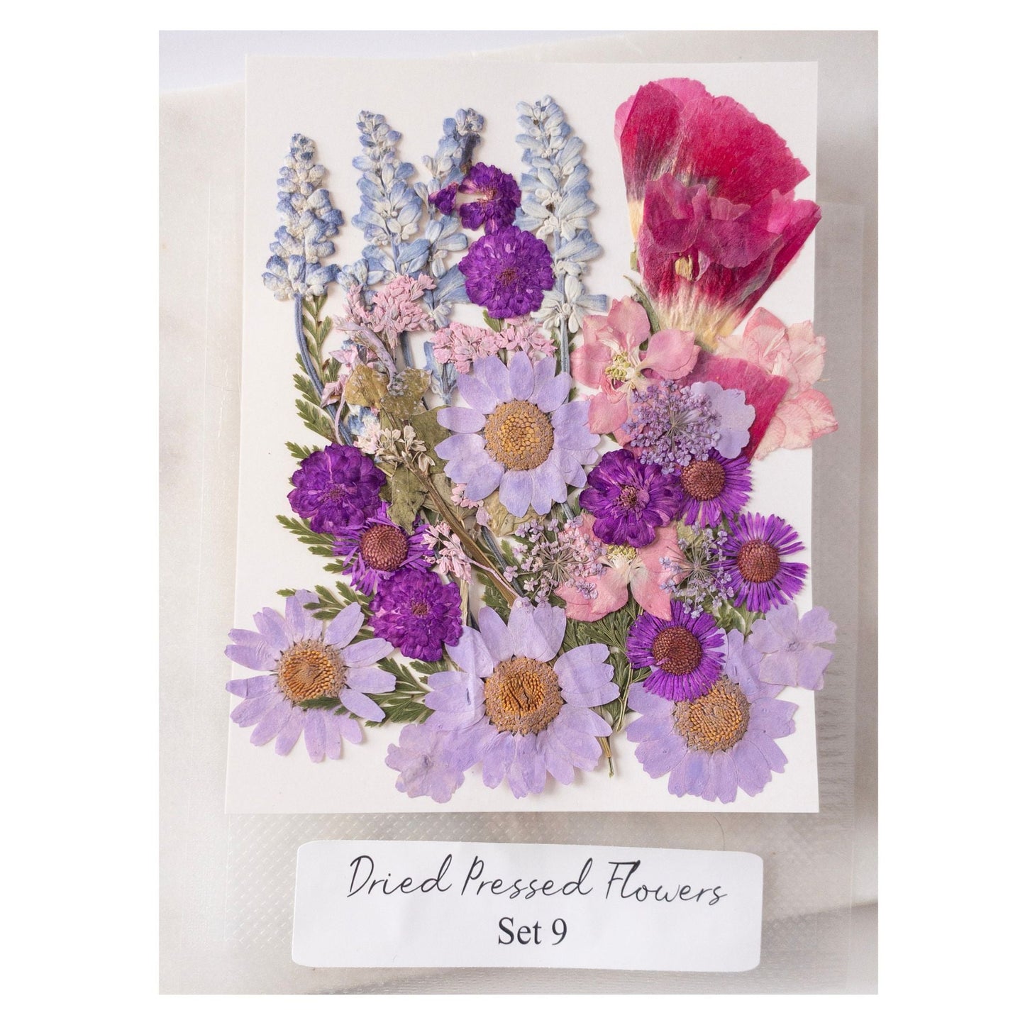 Pressed Dried Flowers for Wax Seals — 11 Color Sets - Wax-Paper-RibbonWax Seal Kit