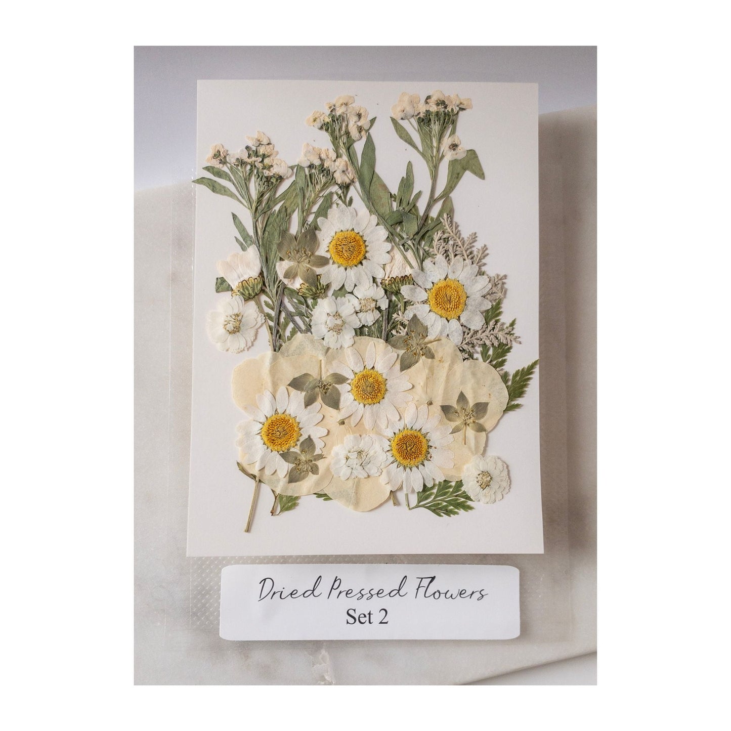 Pressed Dried Flowers for Wax Seals — 11 Color Sets - Wax-Paper-RibbonWax Seal Kit