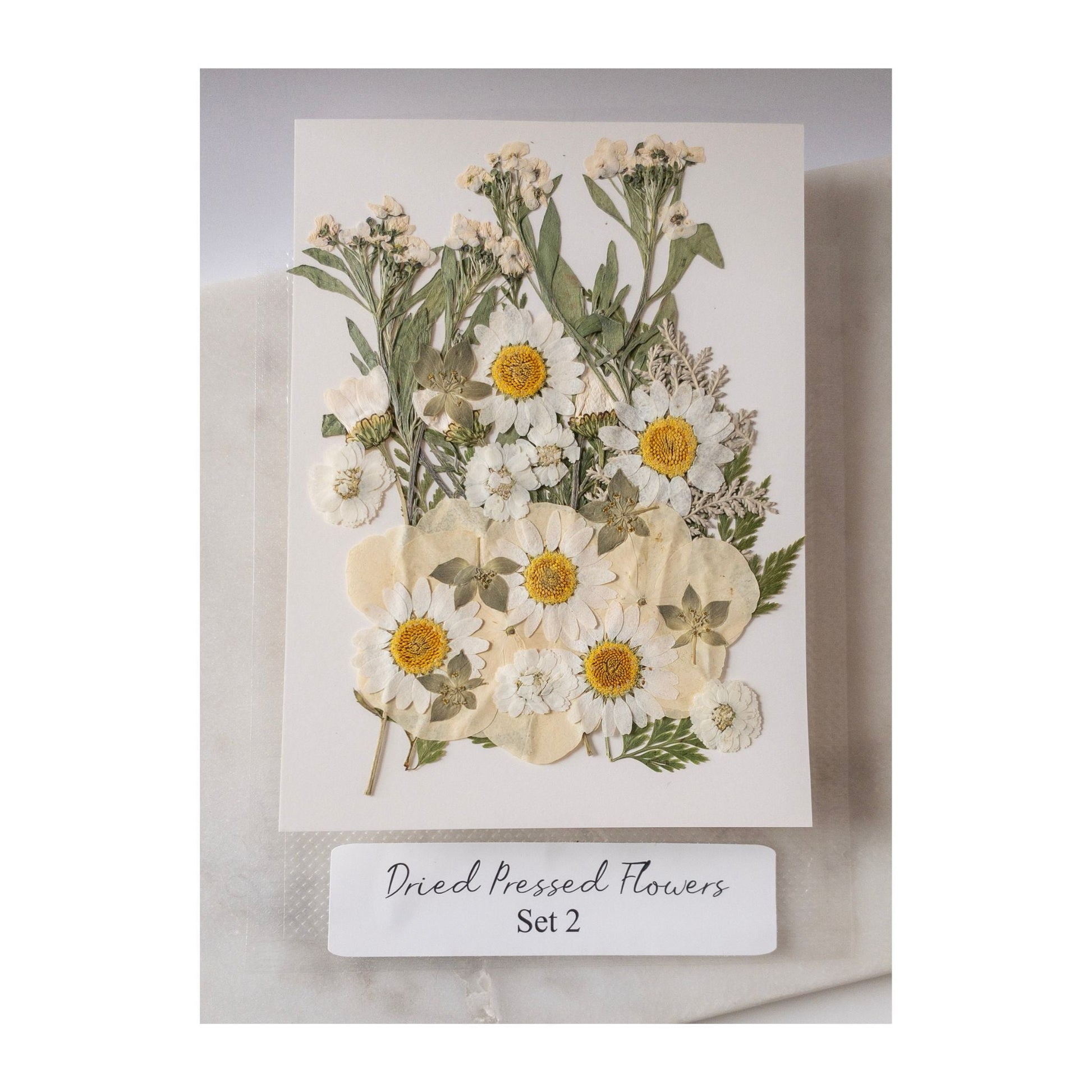 Pressed Dried Flowers for Wax Seals — 11 Color Sets - Wax-Paper-RibbonWax Seal Kit