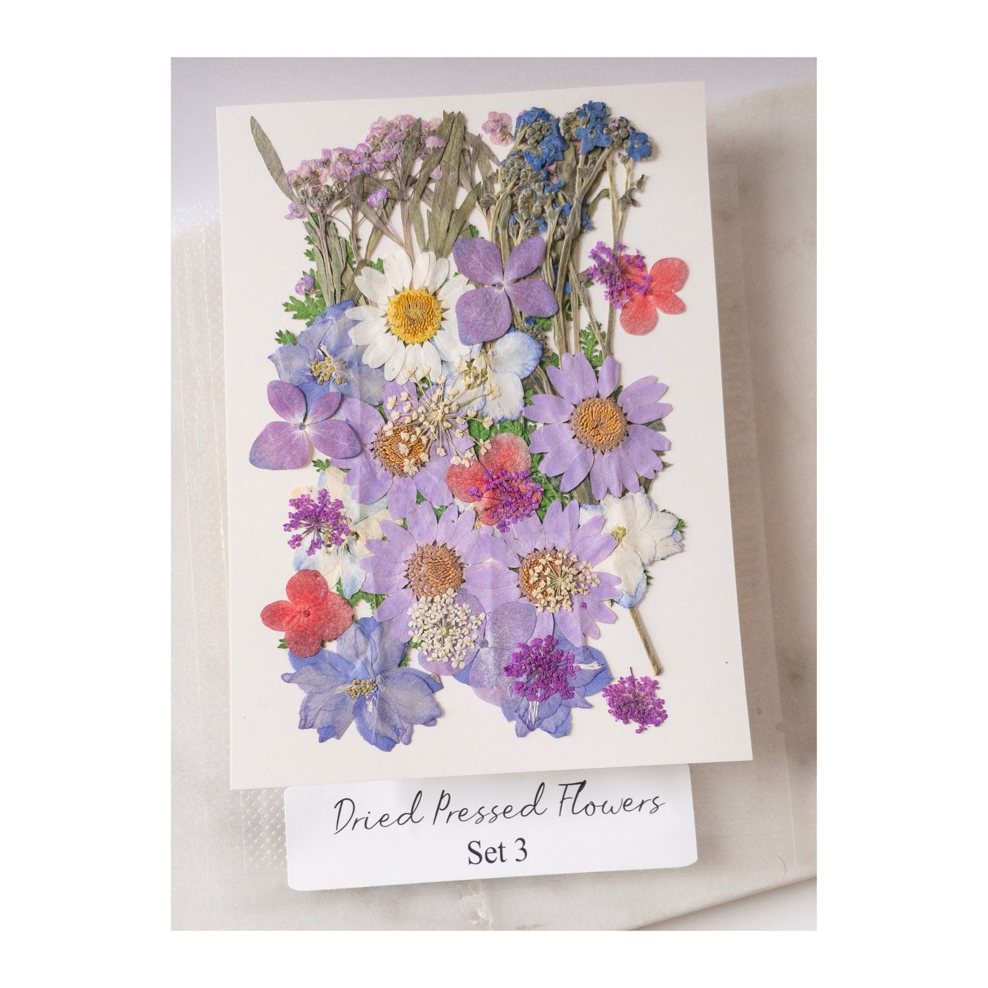 Pressed Dried Flowers for Wax Seals — 11 Color Sets - Wax-Paper-RibbonWax Seal Kit