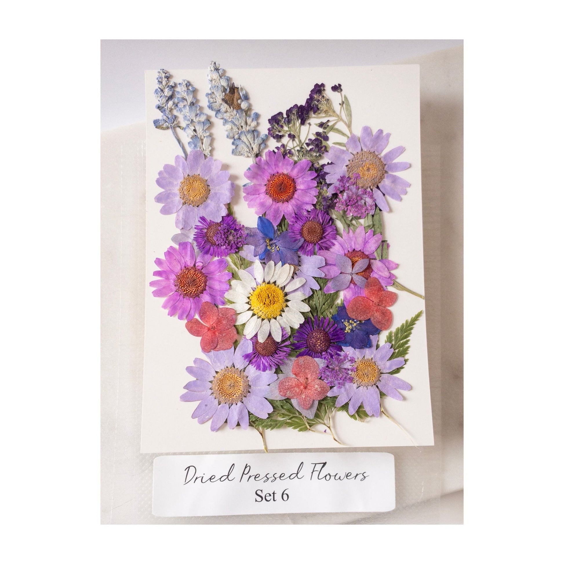 Pressed Dried Flowers for Wax Seals — 11 Color Sets - Wax-Paper-RibbonWax Seal Kit