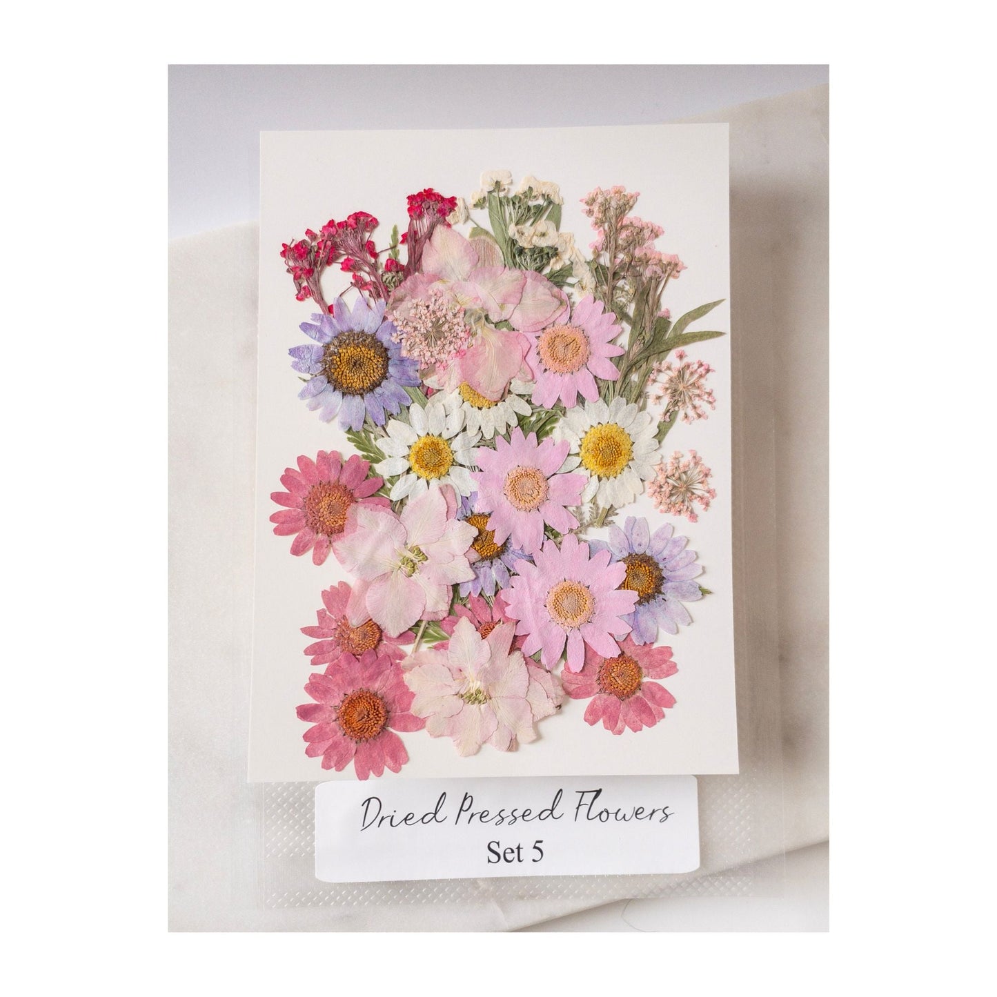 Pressed Dried Flowers for Wax Seals — 11 Color Sets - Wax-Paper-RibbonWax Seal Kit