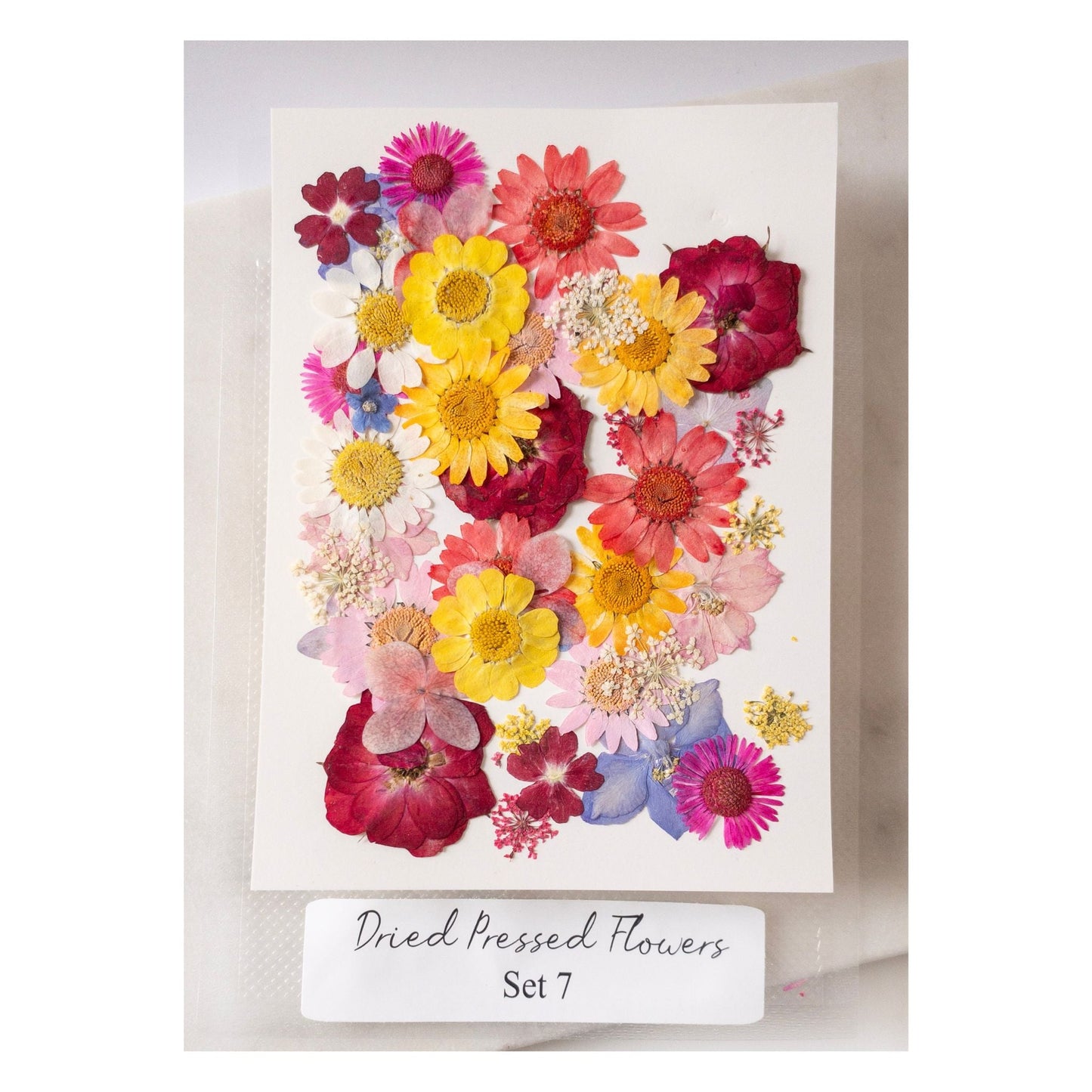 Pressed Dried Flowers for Wax Seals — 11 Color Sets - Wax-Paper-RibbonWax Seal Kit