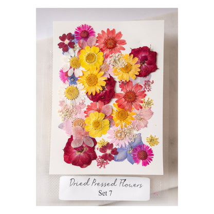 Pressed Dried Flowers for Wax Seals — 11 Color Sets - Wax-Paper-RibbonWax Seal Kit