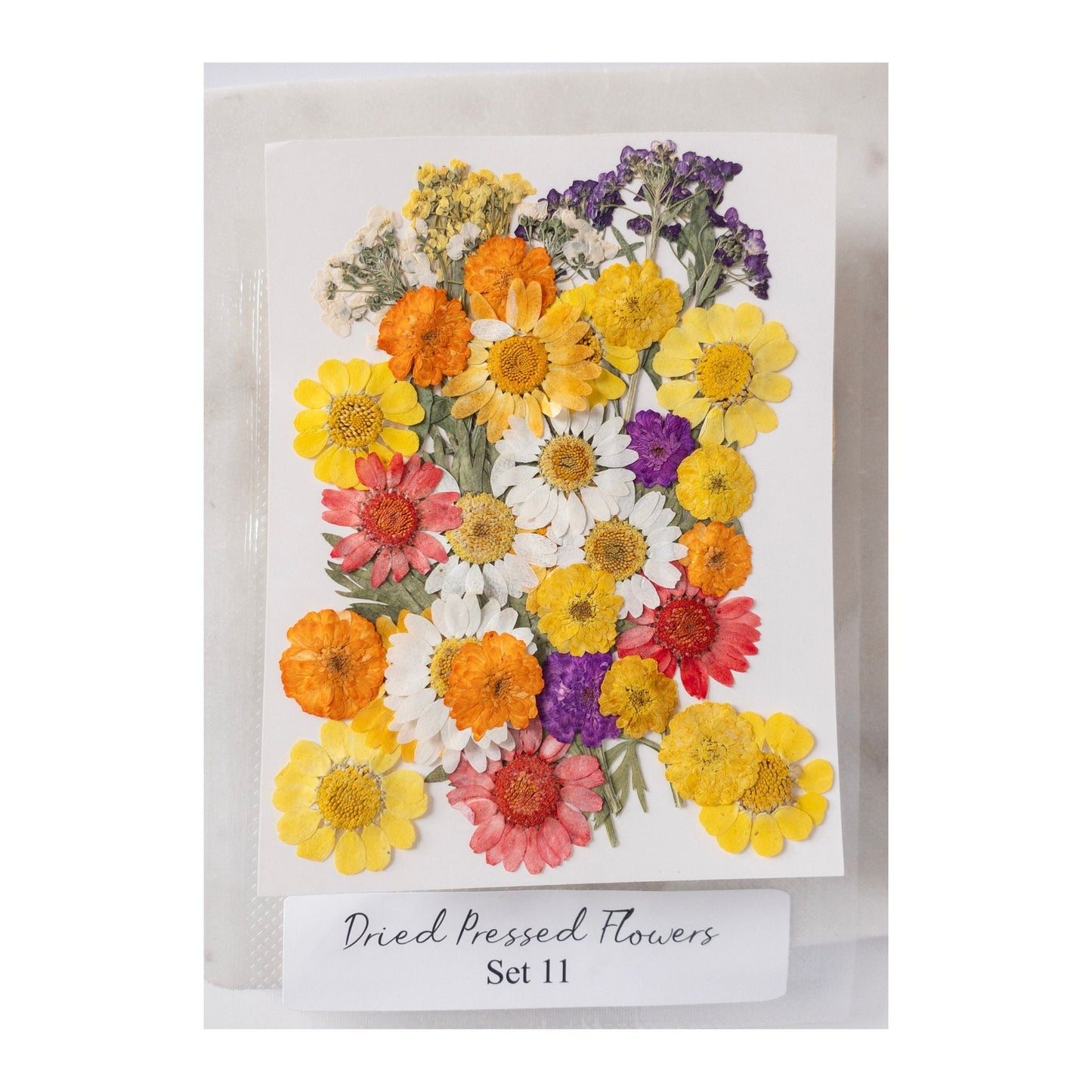 Pressed Dried Flowers for Wax Seals — 11 Color Sets - Wax-Paper-RibbonWax Seal Kit
