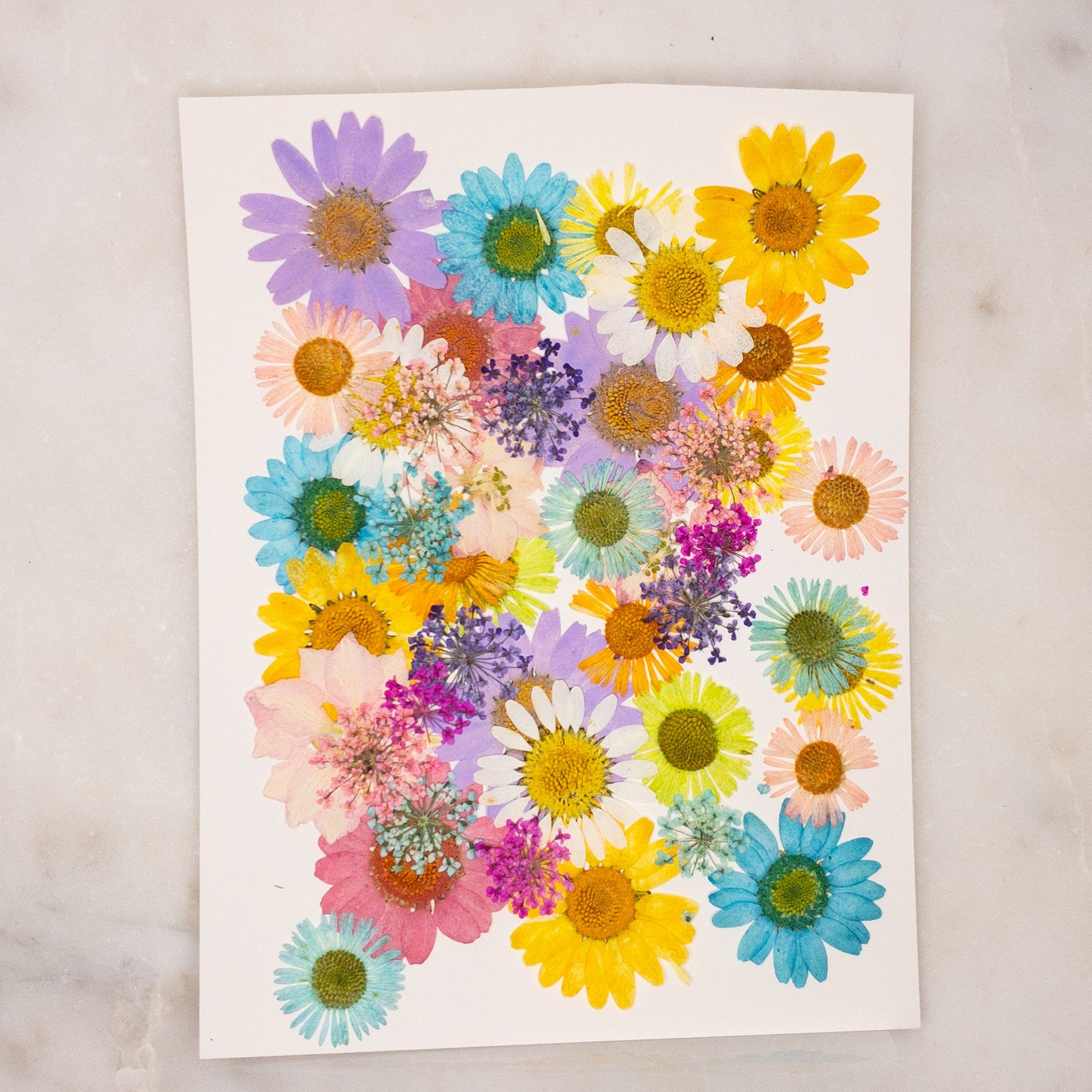 Pressed Dried Flowers for Wax Seals — 11 Color Sets - Wax-Paper-RibbonWax Seal Kit
